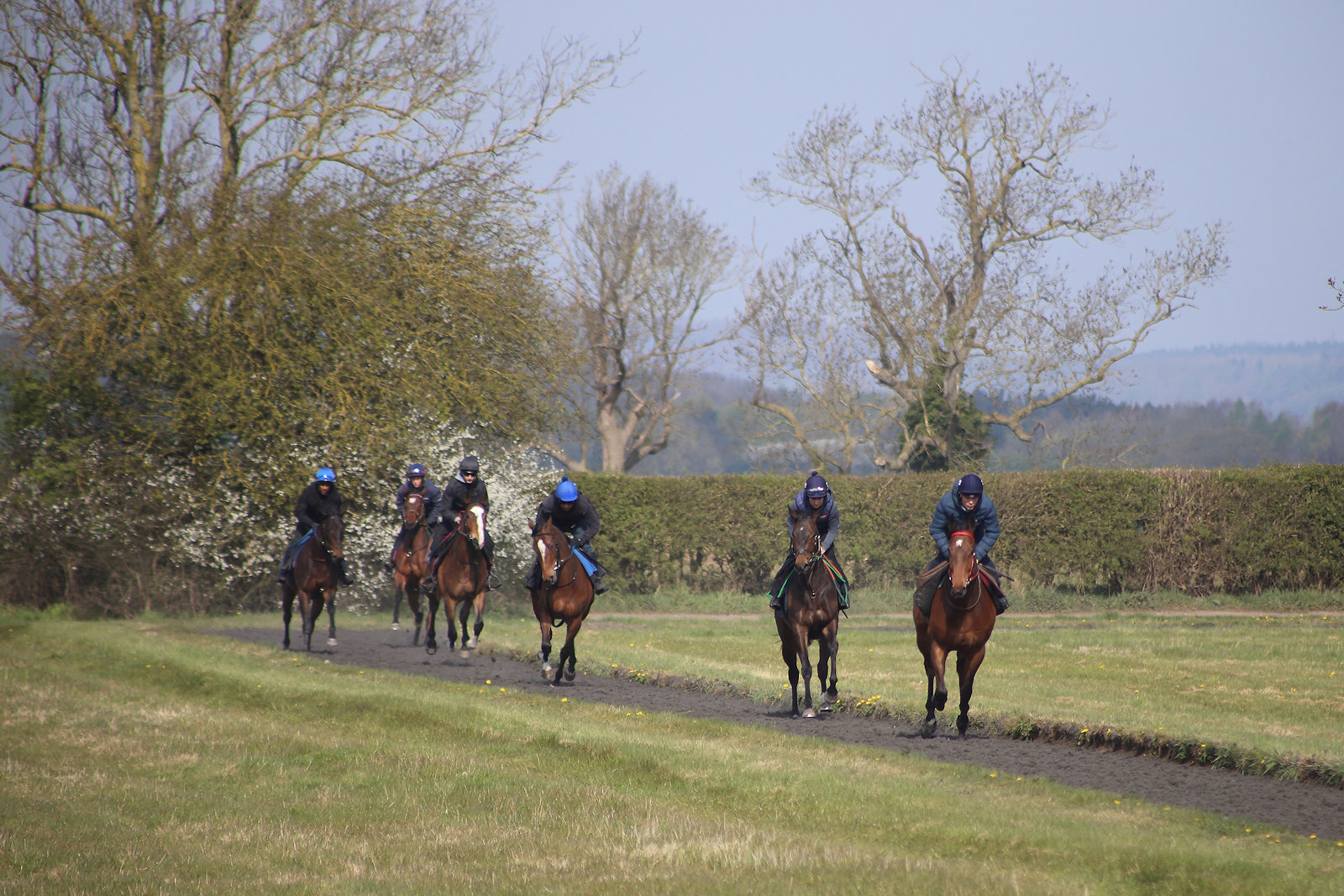 Racing Syndicates: Mick & David Easterby Racing